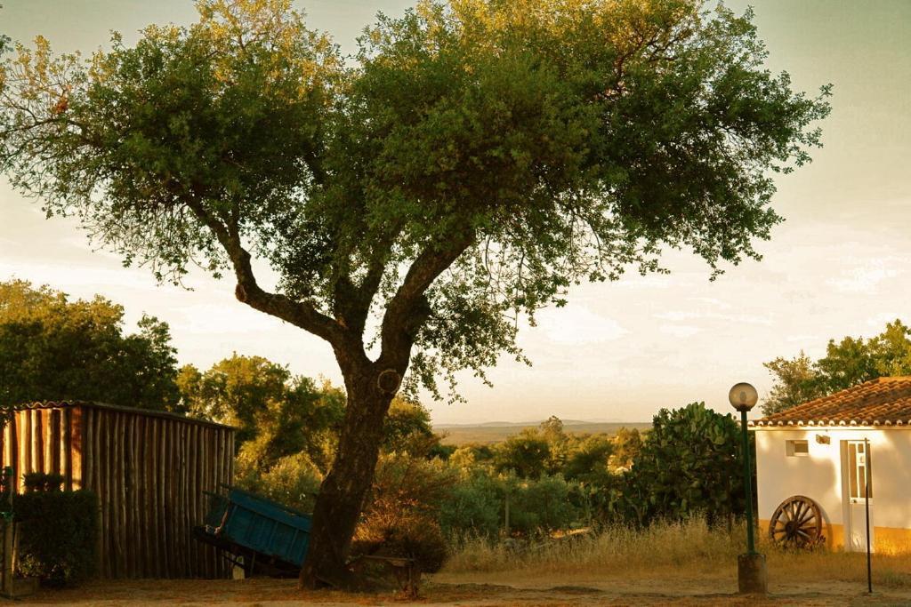 Quinta Da Bela Vista Lägenhet Póvoa e Meadas Exteriör bild