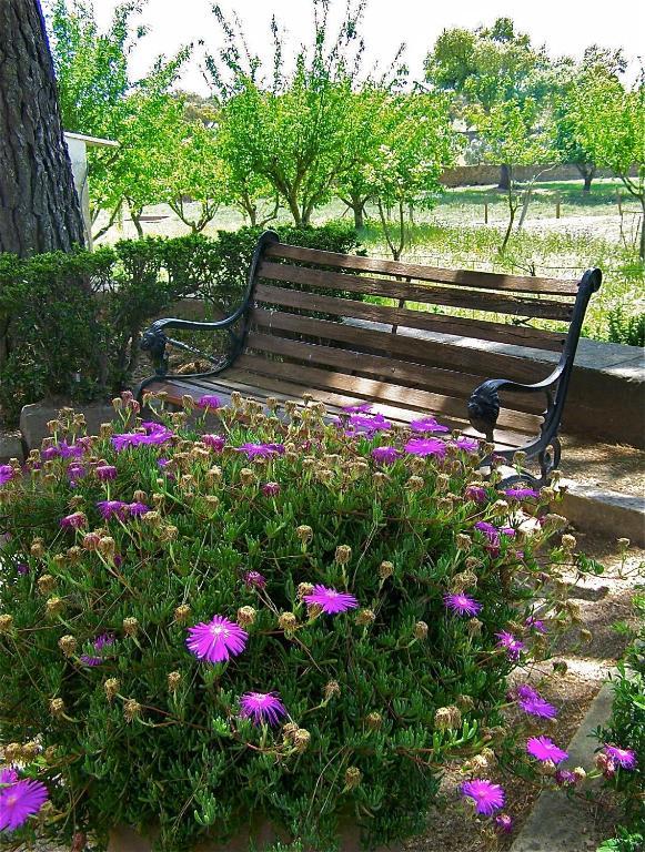 Quinta Da Bela Vista Lägenhet Póvoa e Meadas Exteriör bild